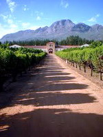 Cape Winelands, South Africa